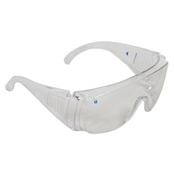 ZIONS Visitors Spec, Clear